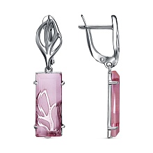 картинка Серьги 34615158Н от магазина Wolves