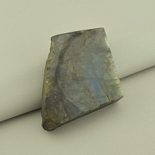 картинка Образец Лабрадор 60x55мм от магазина Wolves