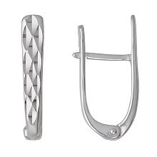 картинка Серьги 3402030С5 от магазина Wolves