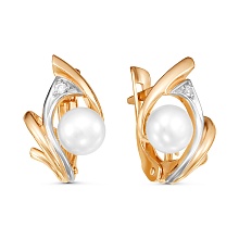 картинка Серьги 3489699Дк от магазина Wolves