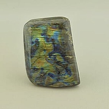 картинка Образец Лабрадор 75x55мм от магазина Wolves