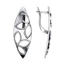 картинка Серьги 34014328 от магазина Wolves