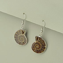 картинка Серьги Аммонит 40х15 от магазина Wolves