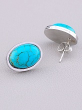 картинка Серьги 'Stainless Steel' Бирюза от магазина Wolves