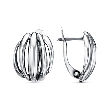 картинка Серьги 34013434 от магазина Wolves