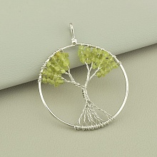 картинка Кулон Пренит 60x50мм от магазина Wolves