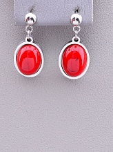 картинка Серьги 'Stainless Steel' Коралл от магазина Wolves