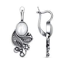 картинка Серьги 34315084К от магазина Wolves