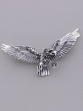 картинка Брошь Сrystal 75x30мм от магазина Wolves