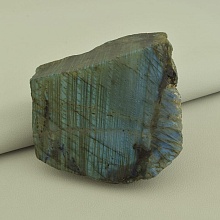 картинка Образец Лабрадор 85x80мм от магазина Wolves