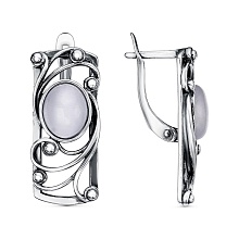 картинка Серьги 34314330С от магазина Wolves