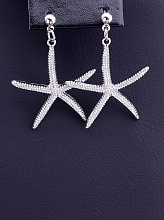 картинка Серьги 'FJ' от магазина Wolves