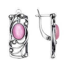 картинка Серьги 34314330И от магазина Wolves