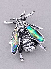 картинка Брошь Галиотис 45x35мм от магазина Wolves