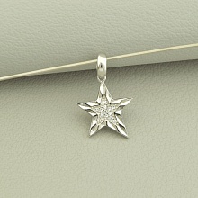 картинка Кулон Серебро(925) Эмаль от магазина Wolves