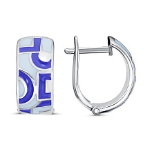 картинка Серьги 34013484С3 от магазина Wolves