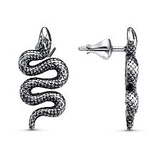 картинка Серьги 34015344 от магазина Wolves