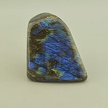 картинка Образец Лабрадор 80x65мм от магазина Wolves