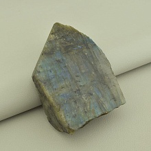 картинка Образец Лабрадор 105x70мм от магазина Wolves