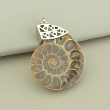 картинка Кулон Аммонит 50x35мм от магазина Wolves