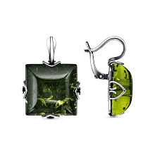 картинка Серьги 34312808Яз от магазина Wolves