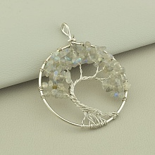 картинка Кулон Лабрадор 60x50мм от магазина Wolves