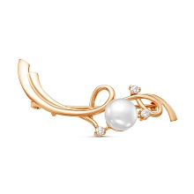 картинка Брошь 14310669К от магазина Wolves