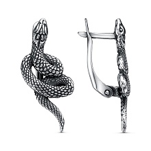 картинка Серьги 34015268 от магазина Wolves