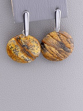 картинка Серьги 'Stainless Steel' Яшма от магазина Wolves