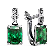 картинка Серьги 3486002Из от магазина Wolves